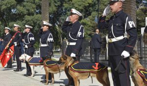 Defensa distinguió a los binomios de la Agrupación Perros de Guerra que combatieron en Malvinas