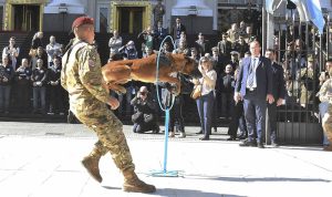 Defensa distinguió a los binomios de la Agrupación Perros de Guerra que combatieron en Malvinas
