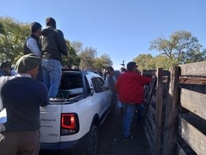 Buenos precios en el remate de Colombo y Magliano S.A.