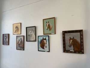 Chaves: “Mi amigo el caballo”: la muestra de Oscar Octavio Rüppell llega al Centro Cultural