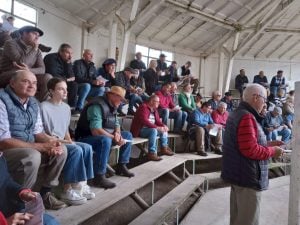 Remate de La Agrícola Ganadera: “Es uno de los mejores eventos que hemos hecho” dijo Sáenz Valiente (audio)