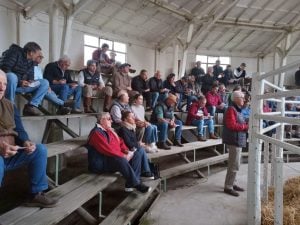 Remate de La Agrícola Ganadera: “Es uno de los mejores eventos que hemos hecho” dijo Sáenz Valiente (audio)