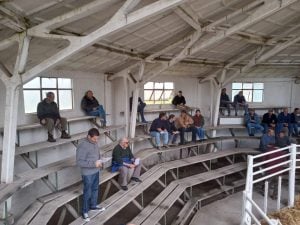 Remate de La Agrícola Ganadera: “Es uno de los mejores eventos que hemos hecho” dijo Sáenz Valiente (audio)