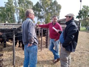 Remate de La Agrícola Ganadera: “Es uno de los mejores eventos que hemos hecho” dijo Sáenz Valiente (audio)