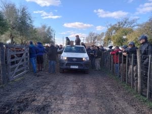 Buenos precios en el remate de La Agrícola Ganadera