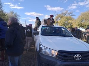 Buenos precios en el remate de La Agrícola Ganadera