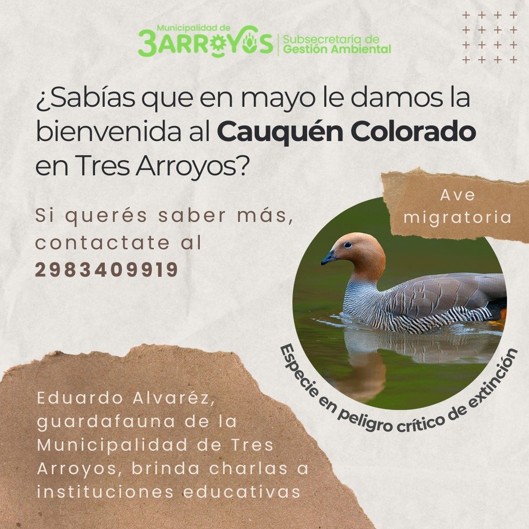Gestión Ambiental: Charlas del Guardafauna Eduardo Álvarez