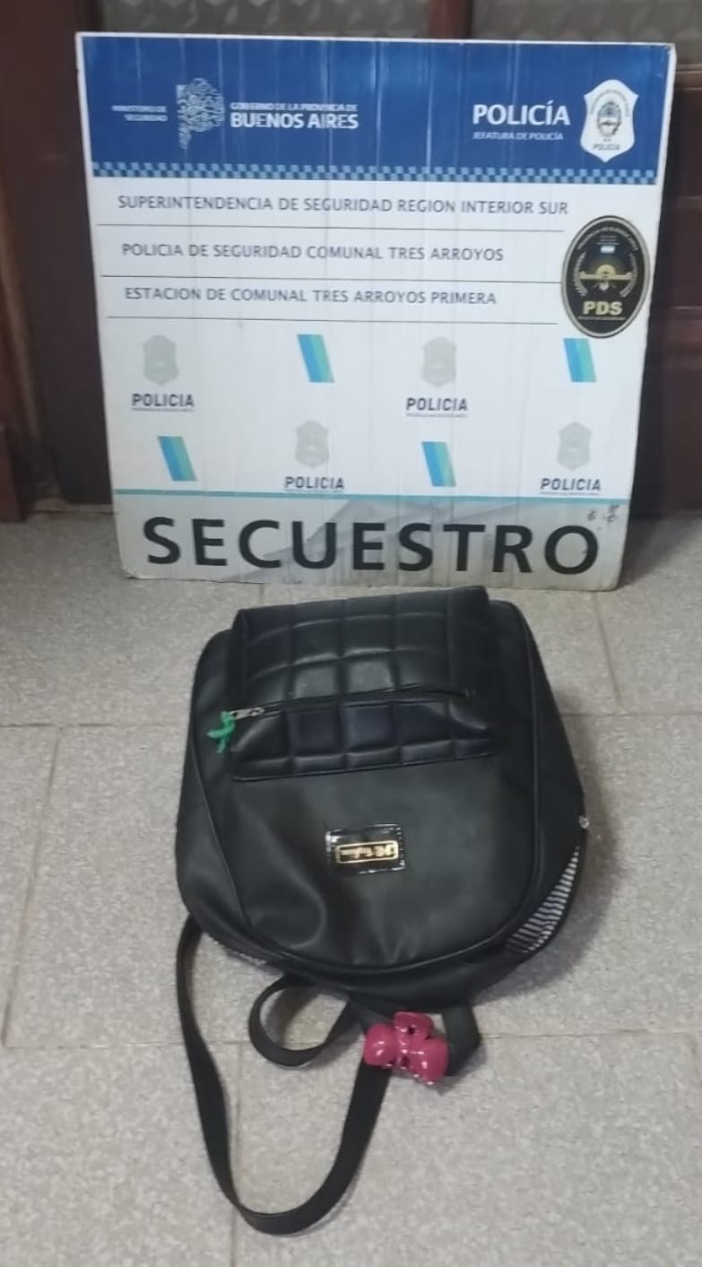 Allanan vivienda de una “mechera” que robó en un local céntrico