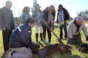 San Cayetano: en el Día del Medioambiente plantaron “100 árboles para mi ciudad”