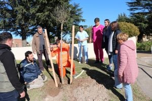 San Cayetano: en el Día del Medioambiente plantaron “100 árboles para mi ciudad”