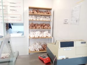 Polipez de Mitre y 1810 con nuevos dueños