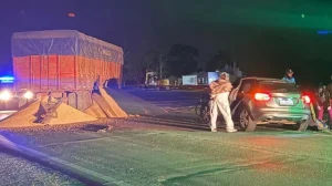 Volcó camión con carne frente a Aparicio (video)