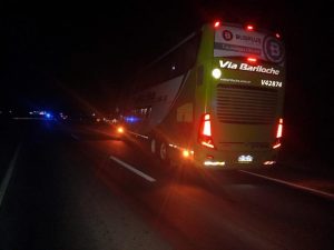 Colectivo choca un animal frente a Dorrego