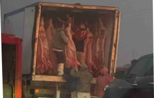Volcó camión con carne frente a Aparicio (video)
