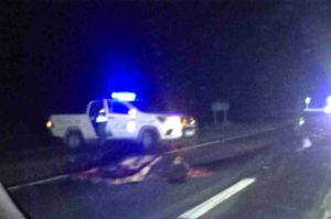 Colectivo choca un animal frente a Dorrego