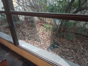 Robo y vandalismo en la Capilla del Barrio Villa Italia (audio)