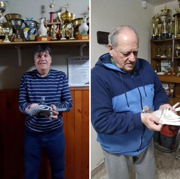 Colombofilia: Triunfos de Tosetti y D’andrea desde Stroeder