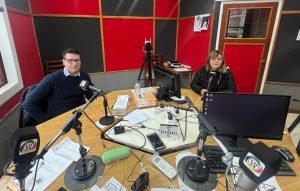 Uzcudun S.A. y las mejores opciones para manejar un Toyota