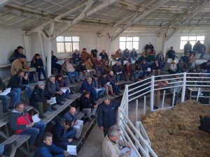 Se vendió todo lo presentado en el remate de La Agrícola Ganadera