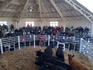 Se vendió todo lo presentado en el remate de La Agrícola Ganadera