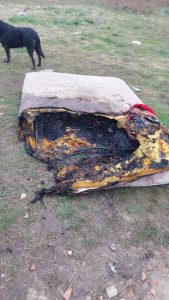 Aprehendido por violencia de género: arrojó ladrillazo a su pareja y prendió fuego un colchón