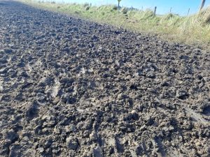 Sancionan a un productor chavense por ocasionar daños en camino rural