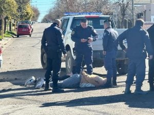 Cinematográfica persecución policial: dos aprehendidos