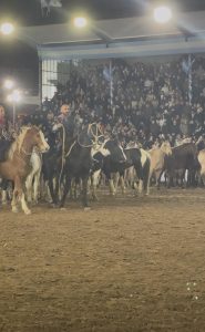 (videos) Matías Di Noyo y Luis Prátula en la Pista Central de Palermo 2025