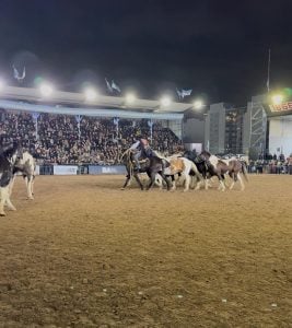(videos) Matías Di Noyo y Luis Prátula en la Pista Central de Palermo 2025