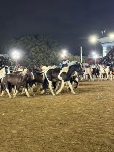 (videos) Matías Di Noyo y Luis Prátula en la Pista Central de Palermo 2025