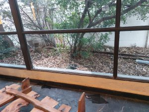 Robo y vandalismo en la Capilla del Barrio Villa Italia (audio)