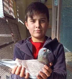 Colombófila: Gran triunfo de Álvaro García desde cruce Valcheta