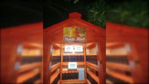 Confianza total: Productor apícola puso autoservicio de miel en plena ruta