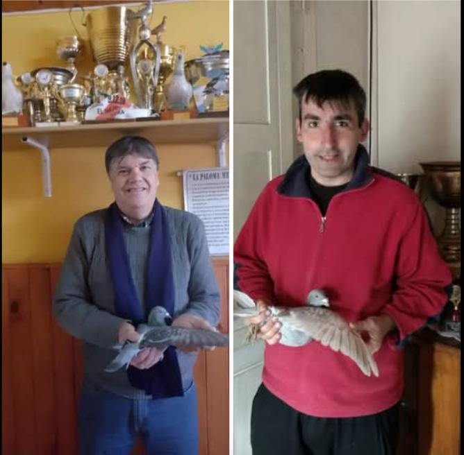 Colombófila: Triunfos de Oñatibia y Tossetti desde Villalonga