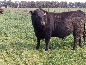 La Leopoldina y San Patricio realizaron jornada a campo (audio)