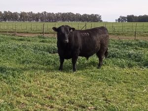 La Leopoldina y San Patricio realizaron jornada a campo (audio)