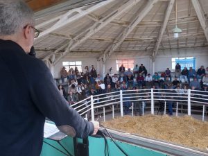 Se vendió la totalidad de los toros de Zuberbühler