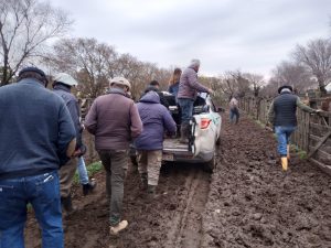 Arzoz remató nuevamente en la feria de la Rural