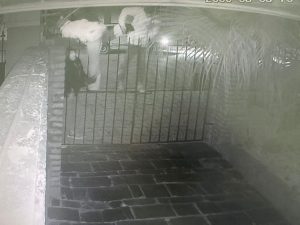 Pizarro: rapidez policial por su asalto, y “Justicia F1” para dejarlos libres (videos)