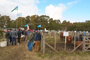 Se realizó el Día de Campo previo al remate de La Torcacita