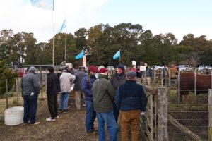 Se realizó el Día de Campo previo al remate de La Torcacita
