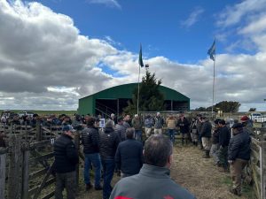 Se realizó el Día de Campo previo al remate de La Torcacita