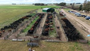 Se realizó el Día de Campo previo al remate de La Torcacita