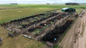 Se realizó el Día de Campo previo al remate de La Torcacita