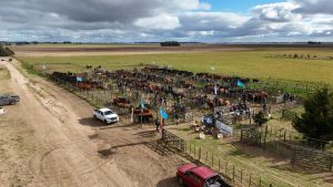 Se realizó el Día de Campo previo al remate de La Torcacita