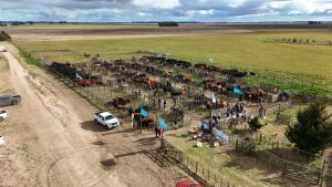 Se realizó el Día de Campo previo al remate de La Torcacita