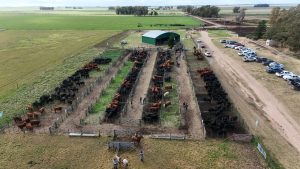 Se realizó el Día de Campo previo al remate de La Torcacita