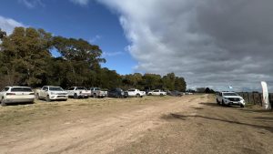 Se realizó el Día de Campo previo al remate de La Torcacita