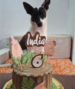 Las tortas de cumpleaños para perros y gatos que son furor en La Plata