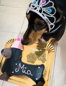 Las tortas de cumpleaños para perros y gatos que son furor en La Plata